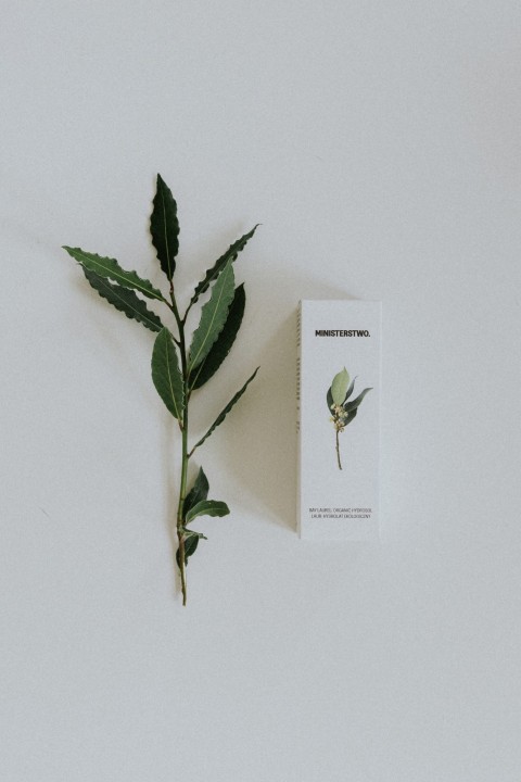 Bay Laurel - organic hydrosol
