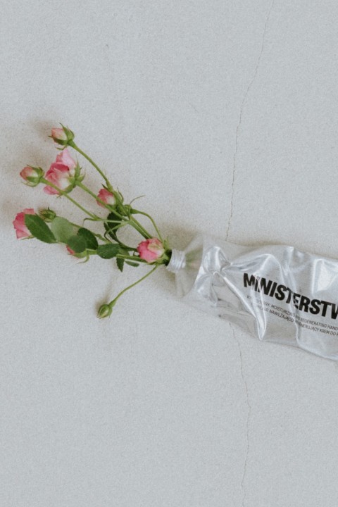 Rose-Himbeere - regenerierende Handcreme